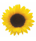 Sunsorials